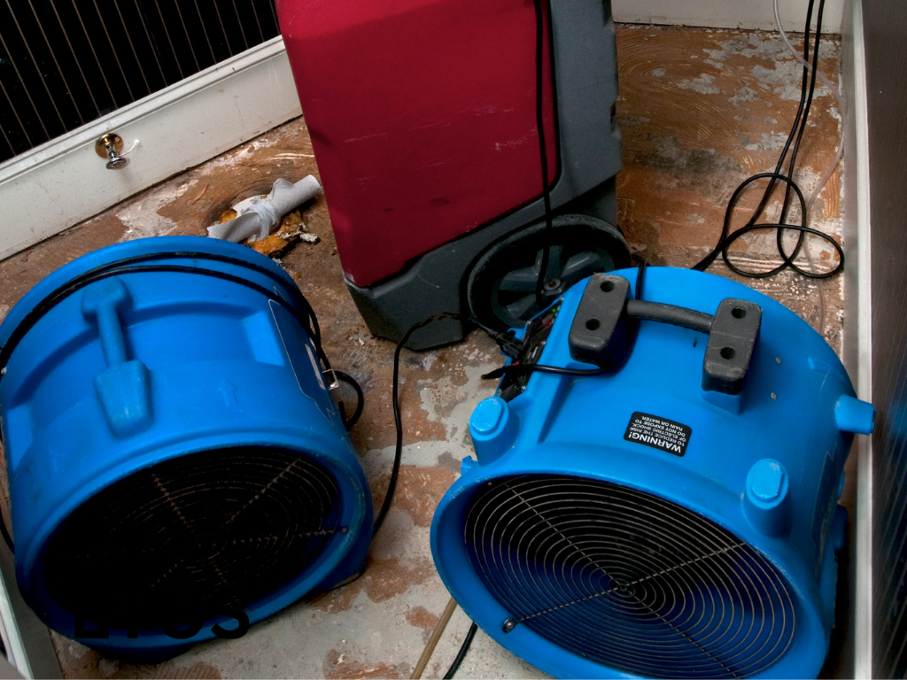 Water Damage SEO for Restoration Companies